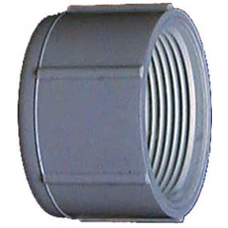 Genova 2 in. PVC Sch. 40 Threaded Caps 30162